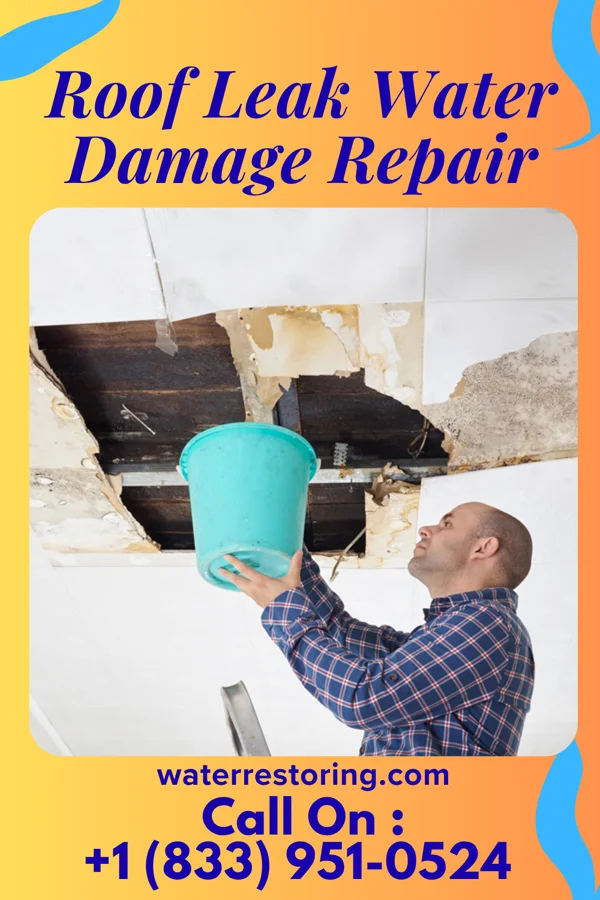 Roof Leak Water Damage Repair in The Crossings, FL